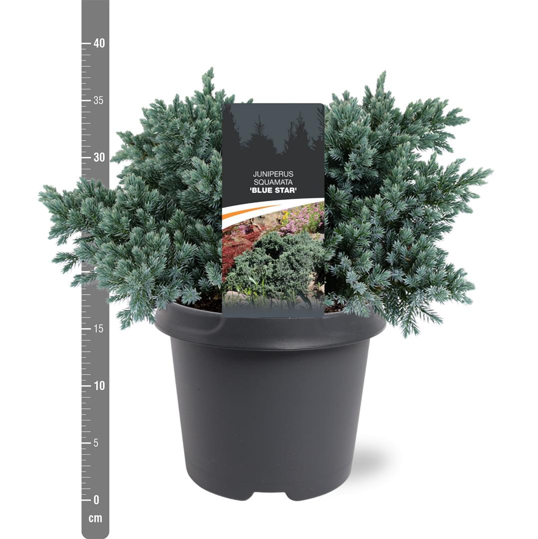 TW-1404487