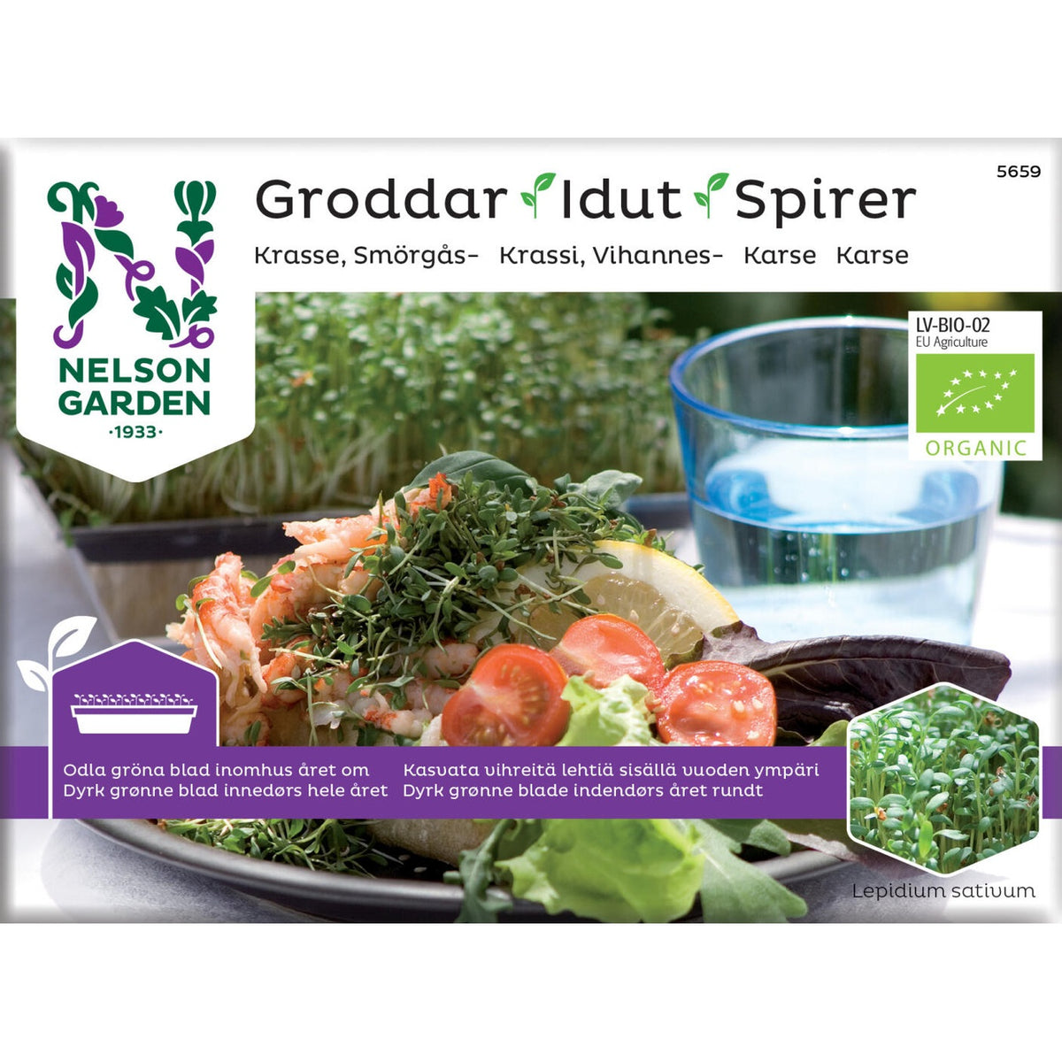 Groddar smörgåskrasse Organic
