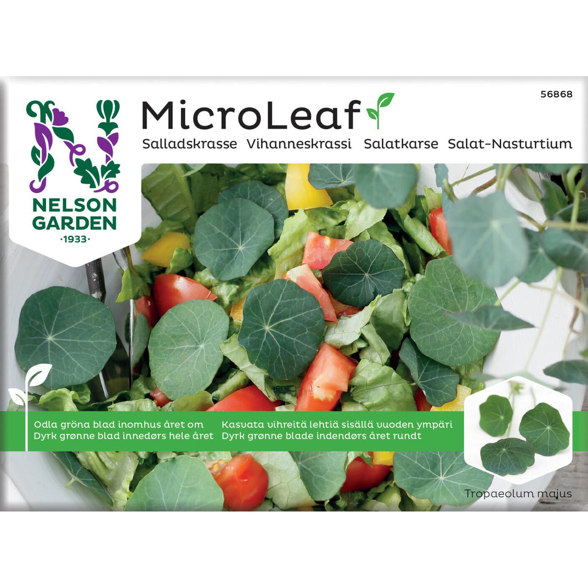 Micro Leaf salladskrasse