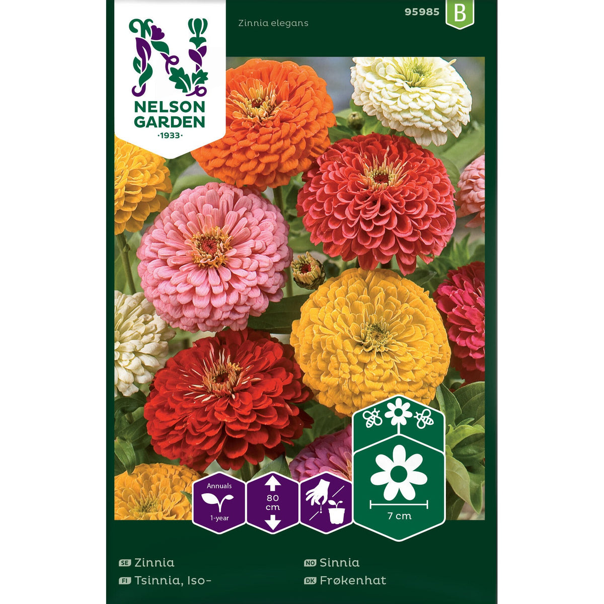 Zinnia Hög bl färger
