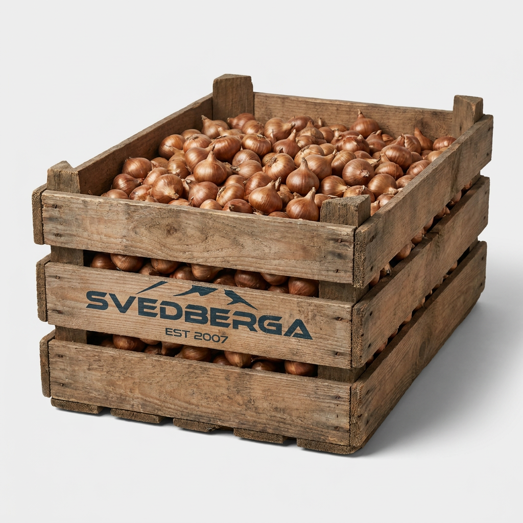 Freesia Freesia Single Mixed löklåda – Svedberga Plantskola