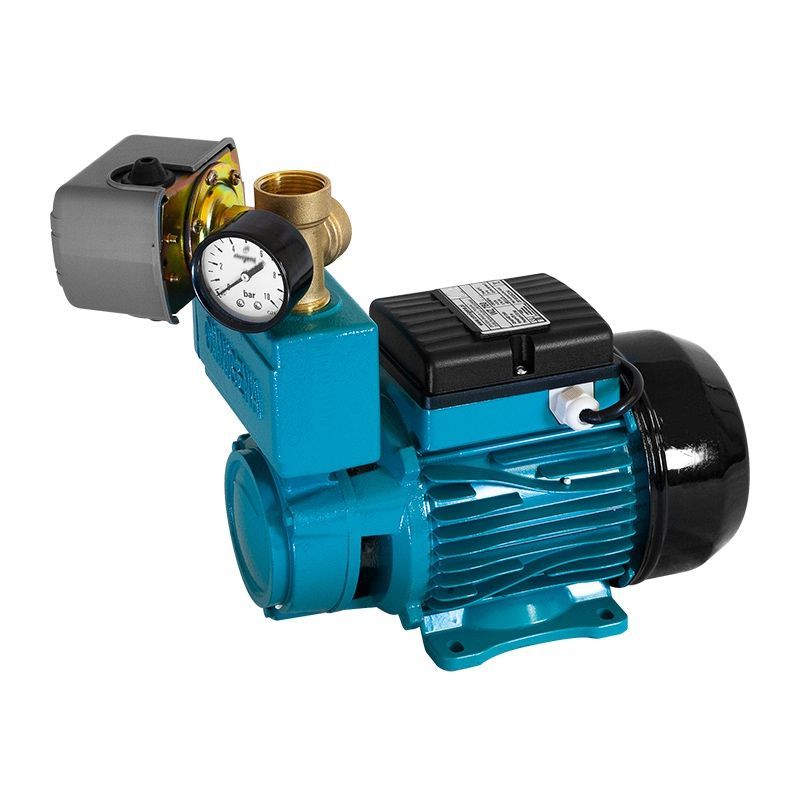 WZ 750 Självprimande Pump med Tillbehör, 230V