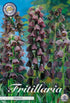 Klocklilja-Fritillaria persica &