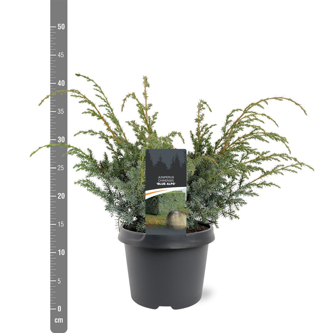 TW-2757560