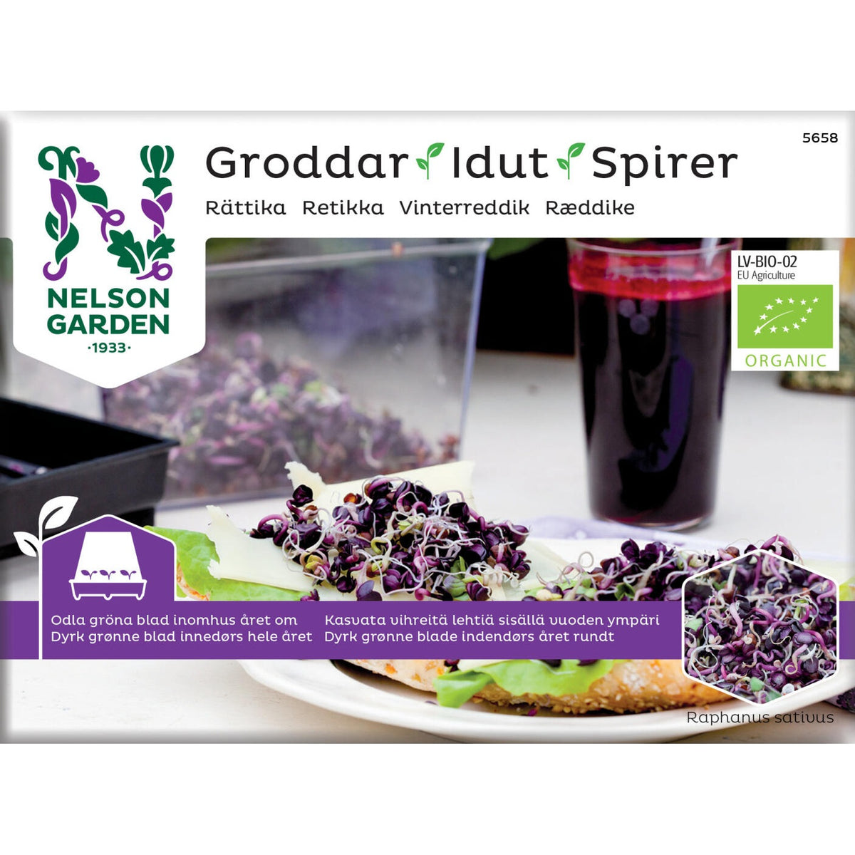 Groddar rättika Organic