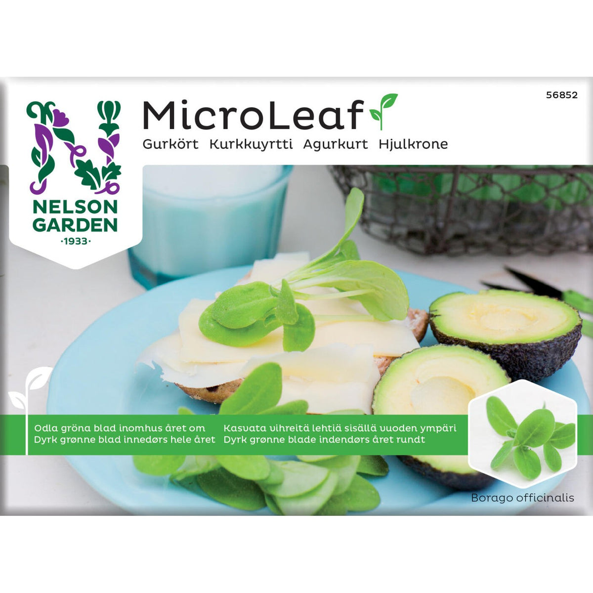 Micro Leaf gurkört