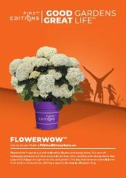 Hydrangea arborescens &