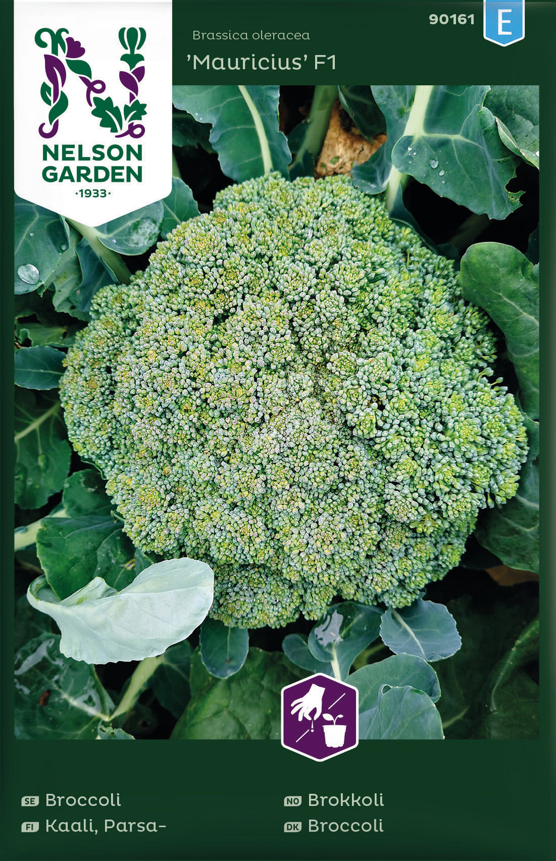 Broccoli Mauricius F1