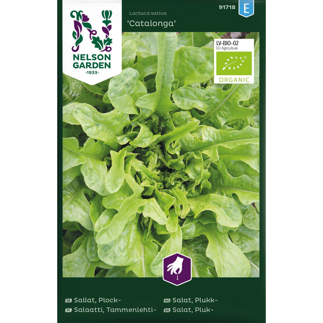 Sallat Plock- Catalonga Organic