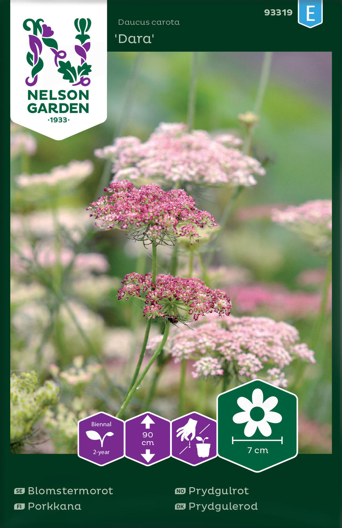 Blomstermorot Dara
