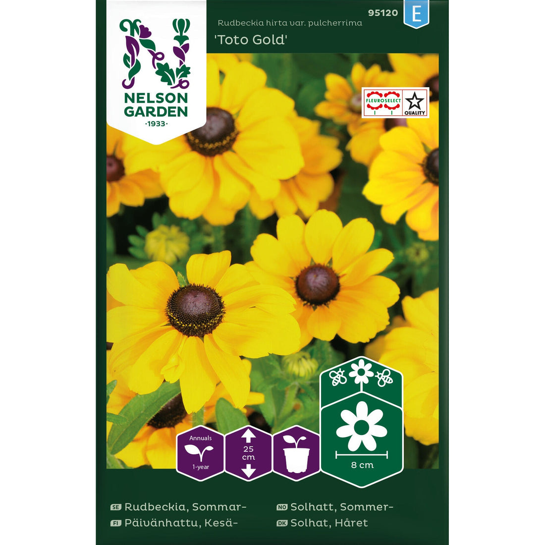 Sommarrudbeckia Toto Gold låg