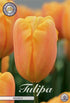 Tulpan Bellville () – hel förpackningsbild med blomman, 10-pack. Från Svedberga Plantskola