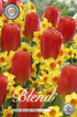 Tulpan/Narciss Willem Tell 20-pack
