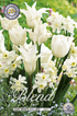 Tulpan/Narciss White Valley 20-pack