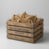 Eremerus Money Maker löklåda – Svedberga Plantskola