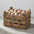 Hyacinthus Gipsy Queen löklåda – Svedberga Plantskola