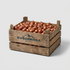 Tulipa Leen v/d Mark löklåda – Svedberga Plantskola