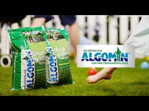 ALGOMIN GRÄSFRÖ SLITSTARK 5 KG