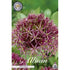 Allium &