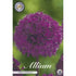 Allium &