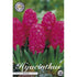 Hyacint Jan Bos 5-pack