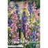 Spansk klockhyacint-Hyacinthoides hispanica &