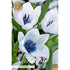 Tulpan Alba Coerulea (premium) 5-pack